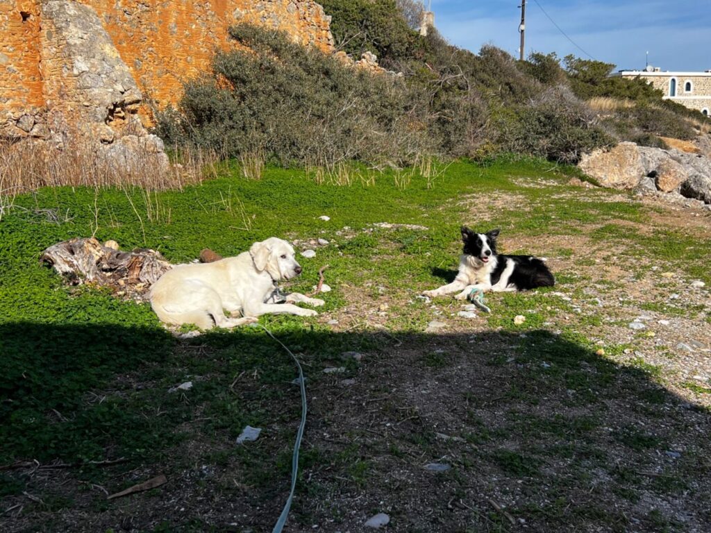 Kreta mit dem Wohnmobil